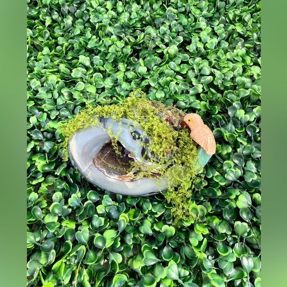 Parrot carving on Agate Geode - Picture 2 of 7